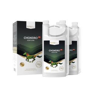 HorseLinePRO Chondro+HA 2x1000ml 