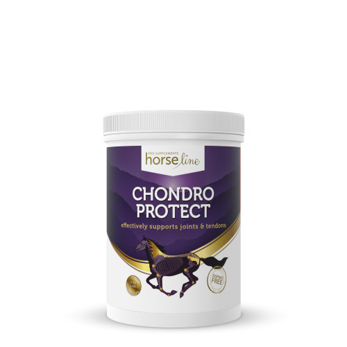 chondroProtect 900g.png