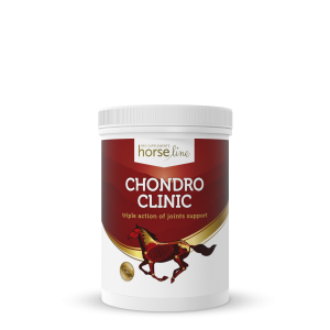 HorseLinePRO ChondroClinic 