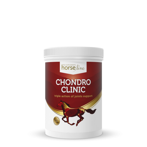 ChondroClinic 690g.png