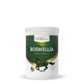 Boswellia 900g.png
