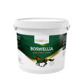 Boswellia 2000g.png
