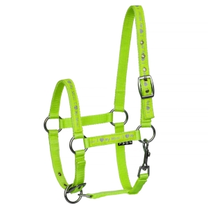 Kantar dla źrebaka START ILoveMyMini - green