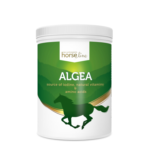 ALGEA.png