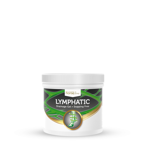 LYMPHATIC.png