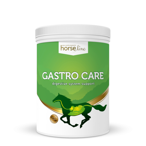GASTROCARE.png