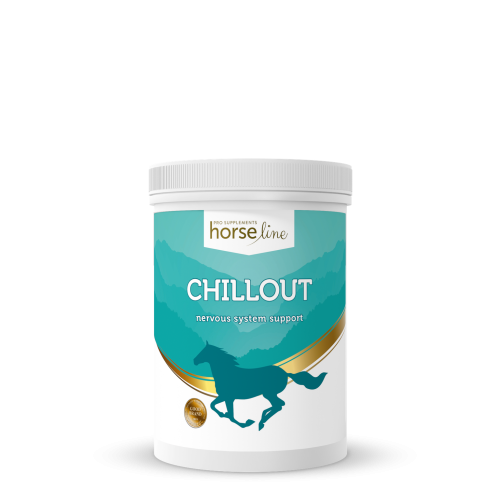 CHILLOUT.png