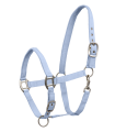 502554-PON_10.png