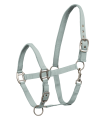 502543-PON_10.png