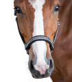5051215-VB_49 (1).png
