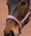 5052831-WB_13.jpg