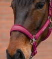 5052874-WB_13.jpg