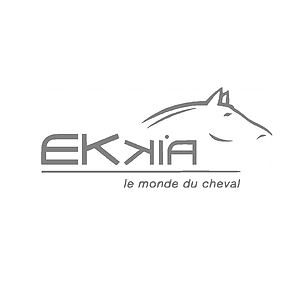 Ekkia